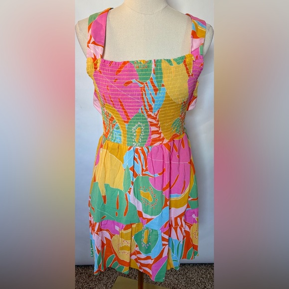 NEW w/Tags Show Me Your MuMu Colorful Collin's Smocked Mini Dress Size Large - Picture 2 of 9